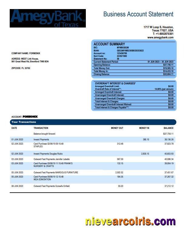 Amegy Corporation Bank organization account statement